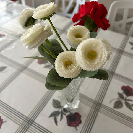 Bela Vista Apartamento Estoril Cascais 외부 사진