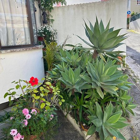 Bela Vista Apartamento Estoril Cascais 외부 사진