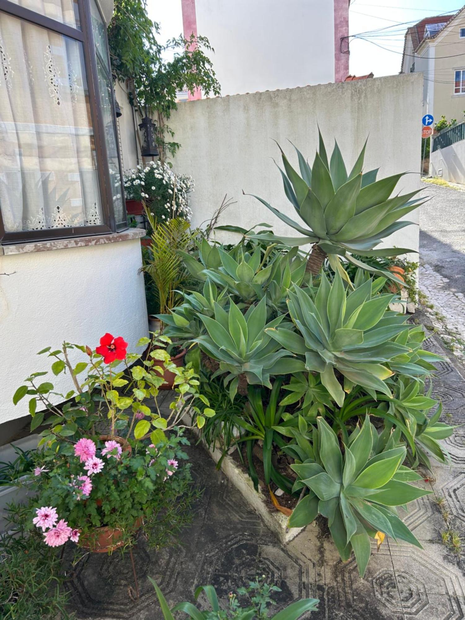 Bela Vista Apartamento Estoril Cascais 외부 사진